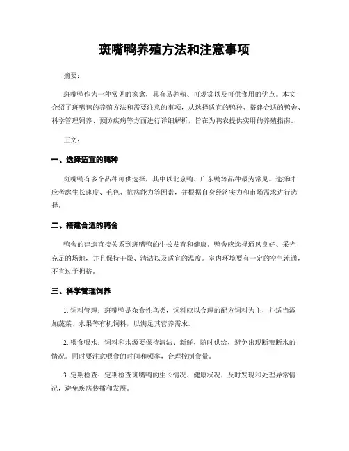 斑嘴鸭养殖方法和注意事项