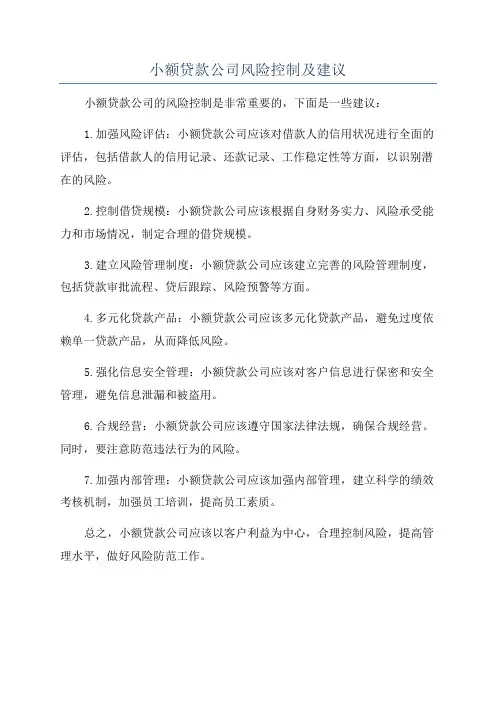 小额贷款公司风险控制及建议