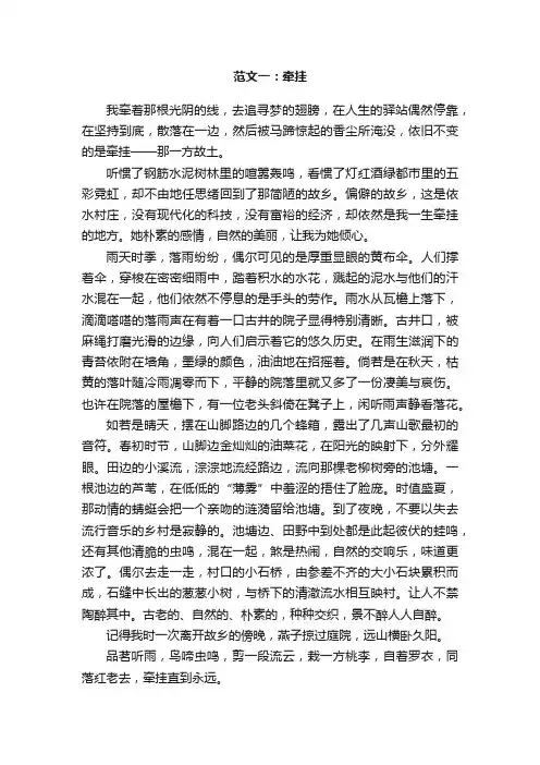 高中以牵挂为题的作文800字