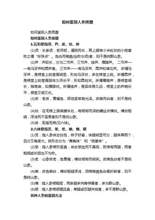 如何鉴别人参质量