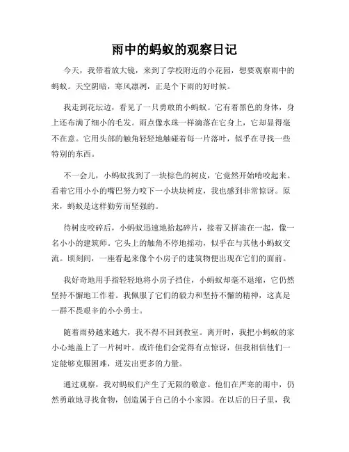 小学三年级作文雨中的蚂蚁的观察日记