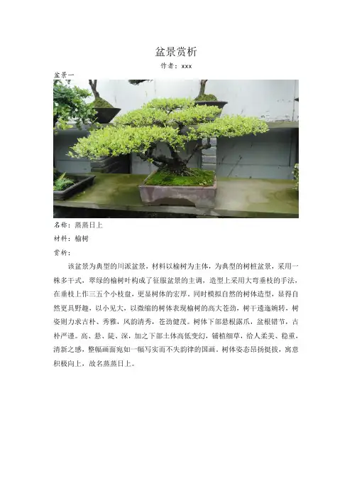 盆景与插花艺术作业