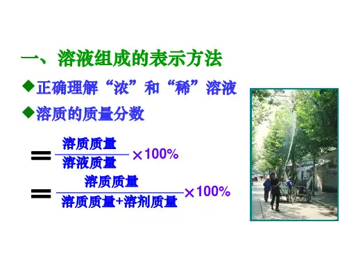 九年级化学溶质的质量分数1(PPT)5-3