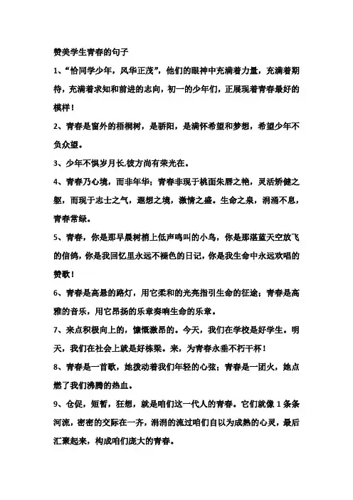 赞美学生青春的句子