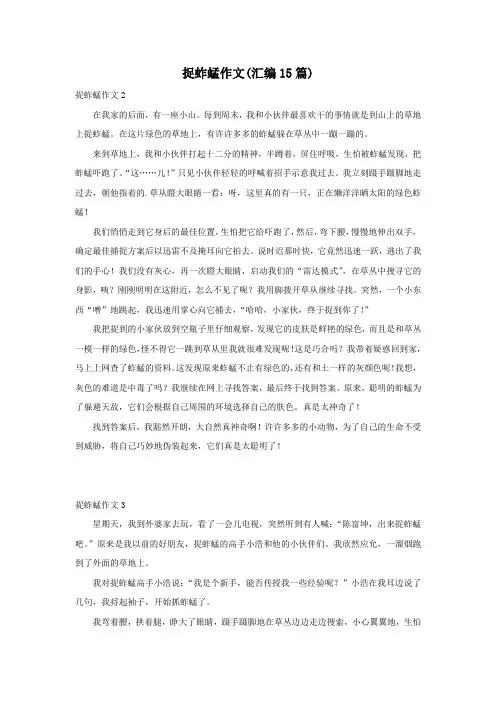 捉蚱蜢作文(汇编15篇)
