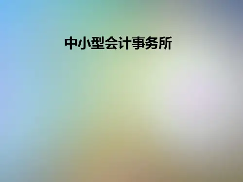 中小型会计事务所