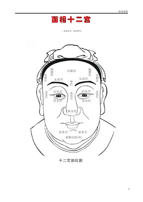 医美基础学面部十二宫
