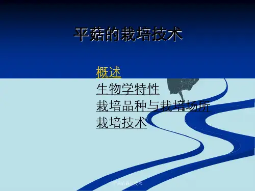 平菇的栽培技术