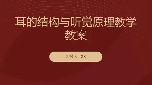 耳的结构与听觉原理教学教案