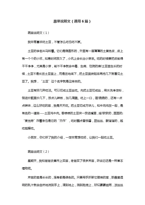 蔬菜说明文(通用6篇)