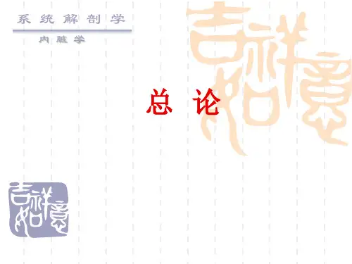 系统解剖学：内脏学