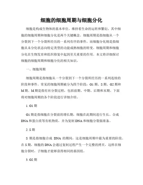 细胞的细胞周期与细胞分化