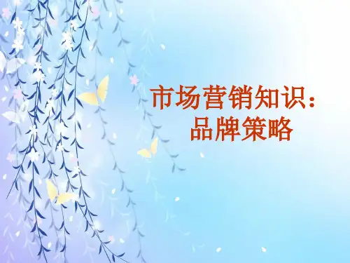 市场营销知识品牌策略讲义课件(ppt 106页)
