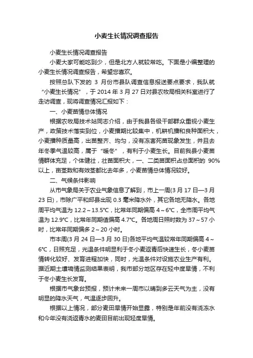 小麦生长情况调查报告
