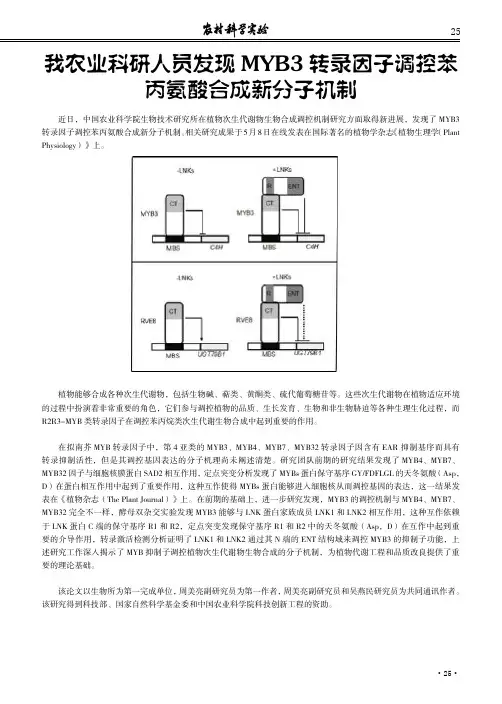 我农业科研人员发现MYB3转录因子调控苯丙氨酸合成新分子机制