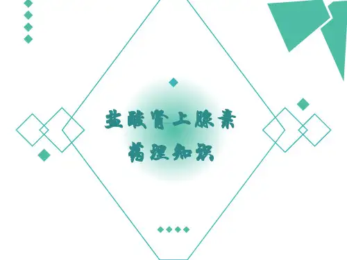 盐酸肾上腺素药理知识