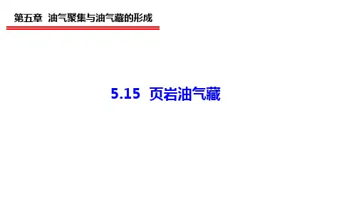 5.15 页岩油气藏