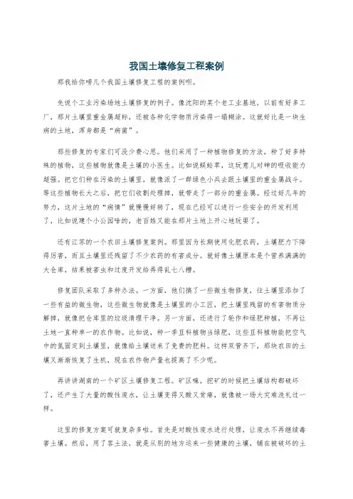 我国土壤修复工程案例