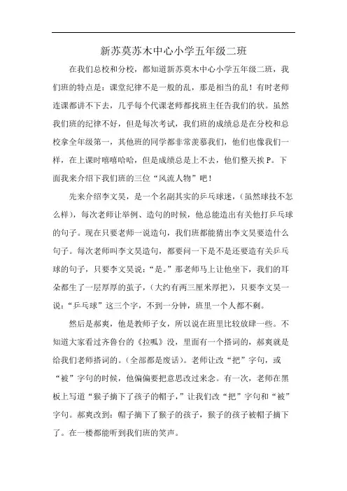 新苏莫苏木中心小学五年级二班