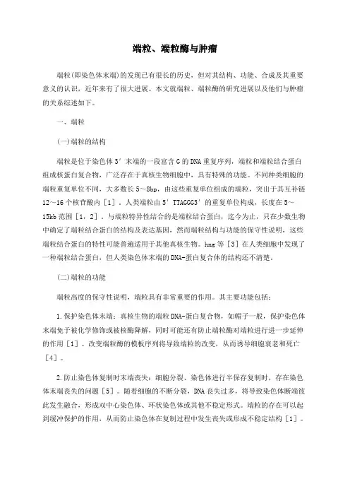 端粒、端粒酶与肿瘤