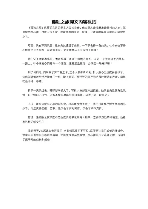 孤独之旅课文内容概括