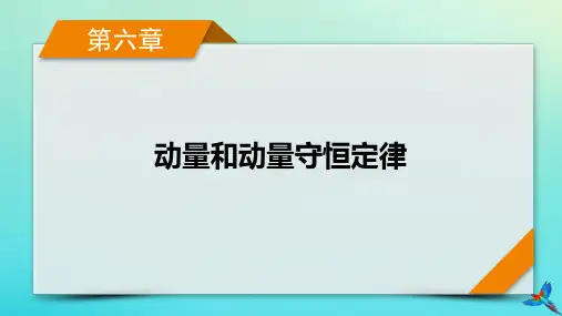 新教材适用2024版高考物理一轮总复习第6章动量和动量守恒定律第1讲动量动量定理课件