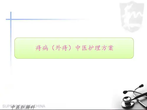 痔病(外痔)中医护理方案  ppt课件