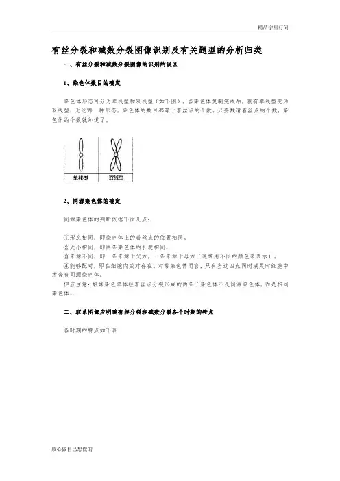 (word完整版)高中生物有丝分裂和减数分裂图解