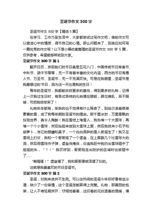 圣诞节作文300字【精选5篇】
