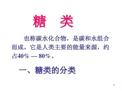 营养与健康(糖矿维宝塔)