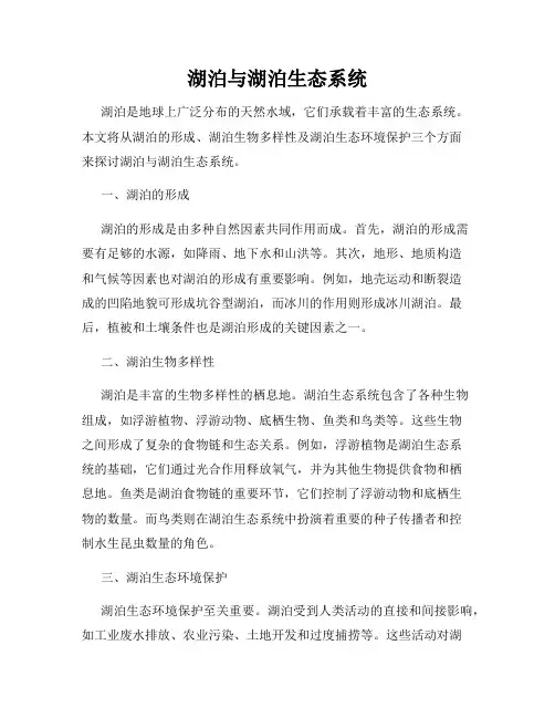 湖泊与湖泊生态系统