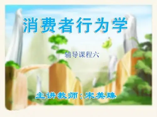 消费者行为学6