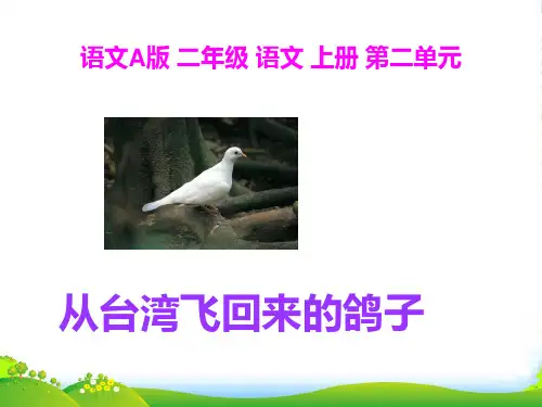 二年级语文上册 从台湾飞回来的鸽子 1课件 语文A版
