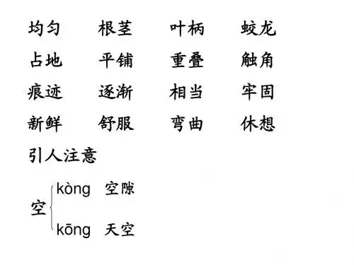 6爬山虎的脚
