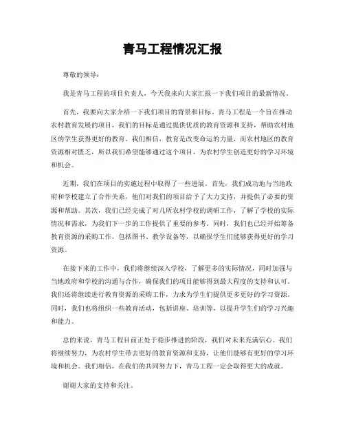 青马工程情况汇报