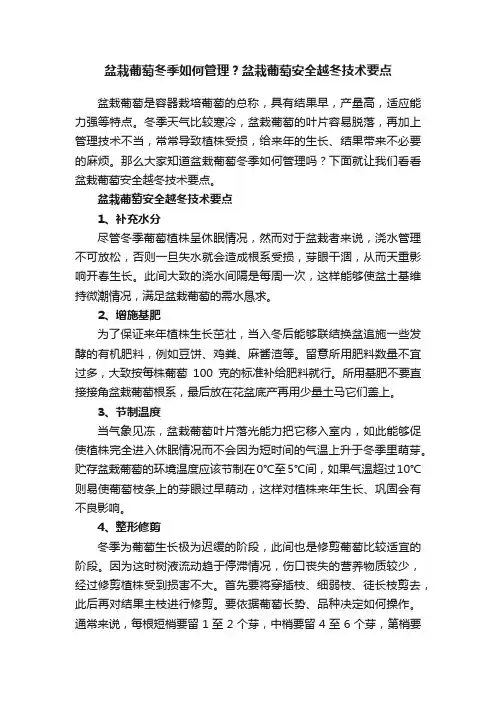 盆栽葡萄冬季如何管理？盆栽葡萄安全越冬技术要点