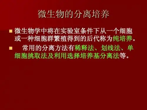2.微生物的分离培养