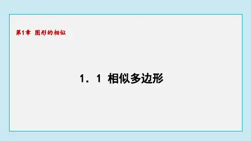 1.1相似多边形 课件 青岛版数学九年级上册