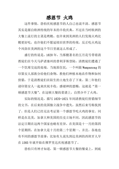 感恩节火鸡