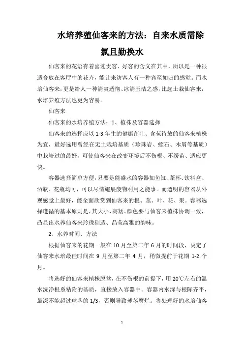 水培养殖仙客来的方法：自来水质需除氯且勤换水