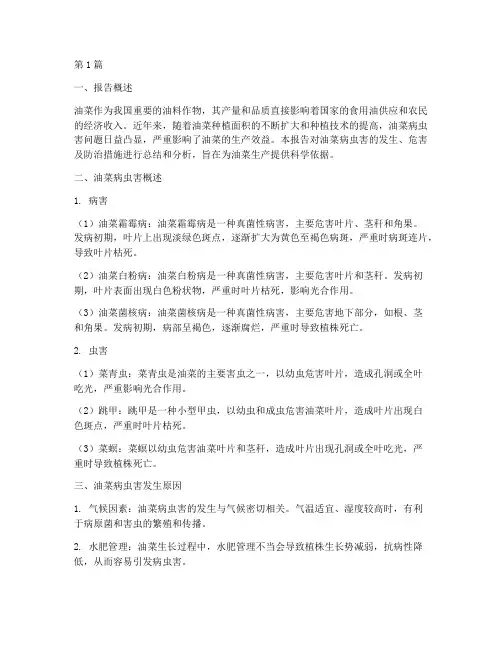 油菜病虫总结报告范文(3篇)