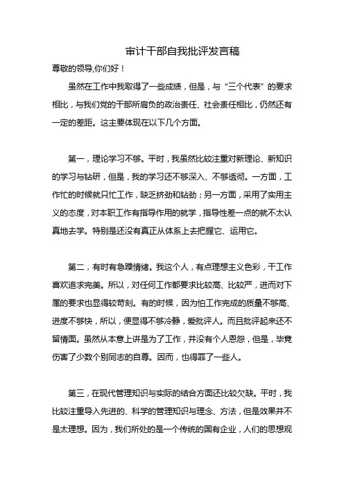 审计干部自我批评发言稿