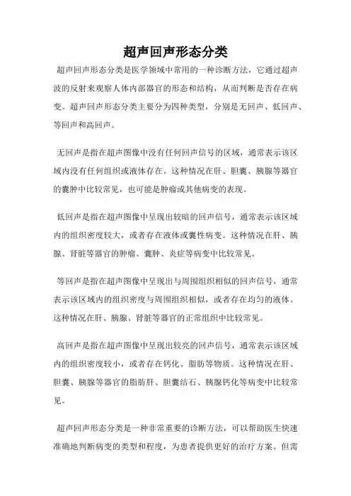 超声回声形态分类