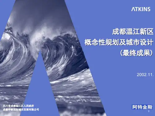 成都新区概念性规划及城市设计ppt课件