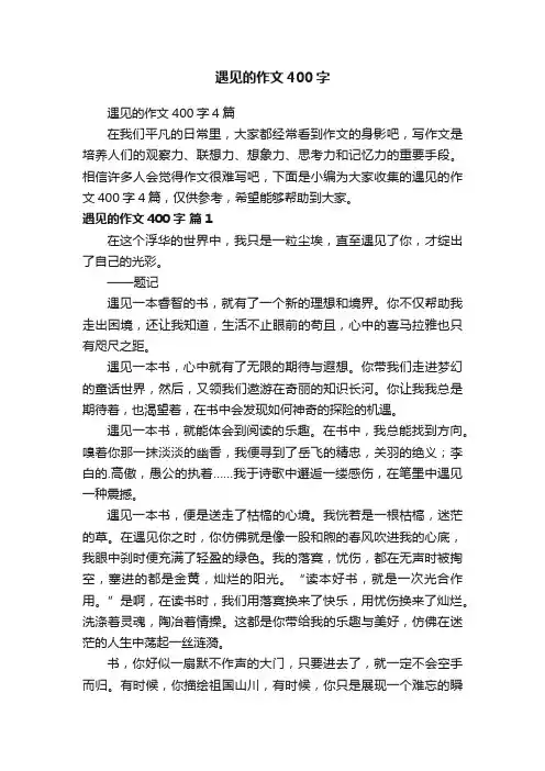 遇见的作文400字4篇