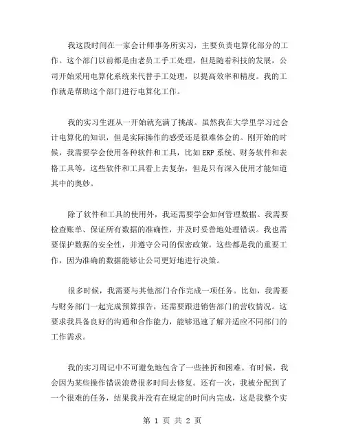 大学生会计电算化的实习周记范文