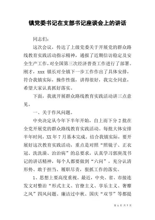 镇党委书记在支部书记座谈会上的讲话