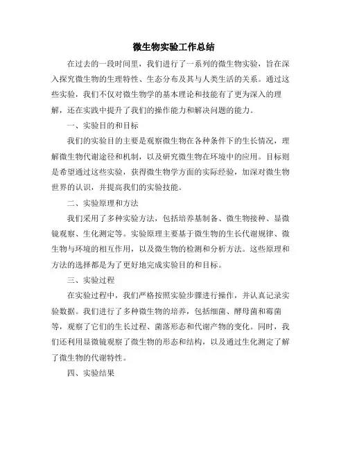 微生物实验工作总结