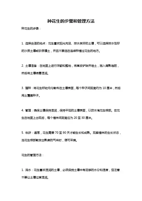 种花生的步骤和管理方法