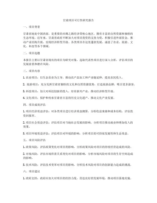 甘肃项目可行性研究报告